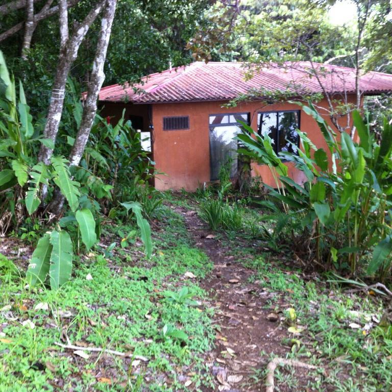 Howlers Bay Hotel Boca Chica Esterno foto